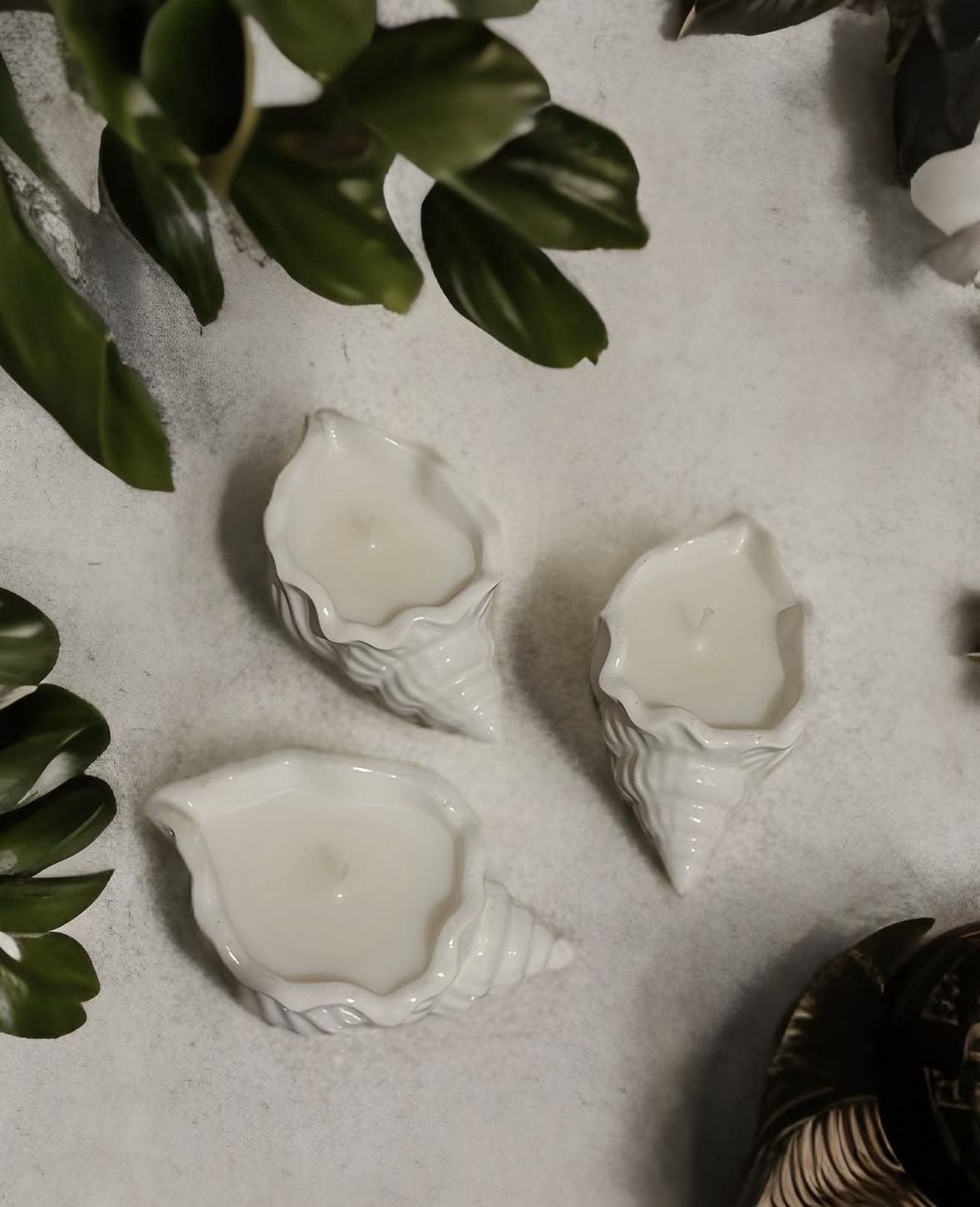 Ocean Seashell Candle image 3